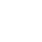 Radibreak Anti Radiation Home Device